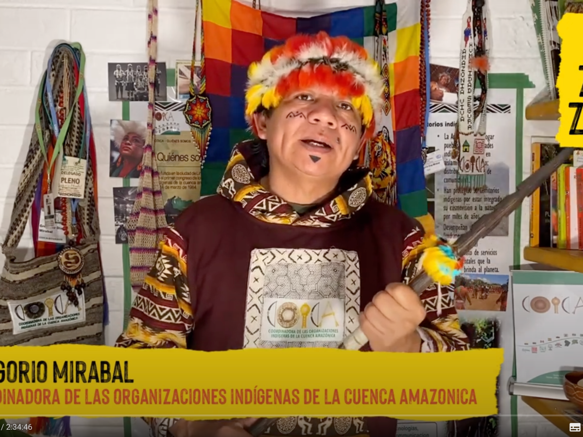 Festival ¡Amazonizate! unió a 86 artistas de varios países en la defensa de la&nbsp;Amazonía