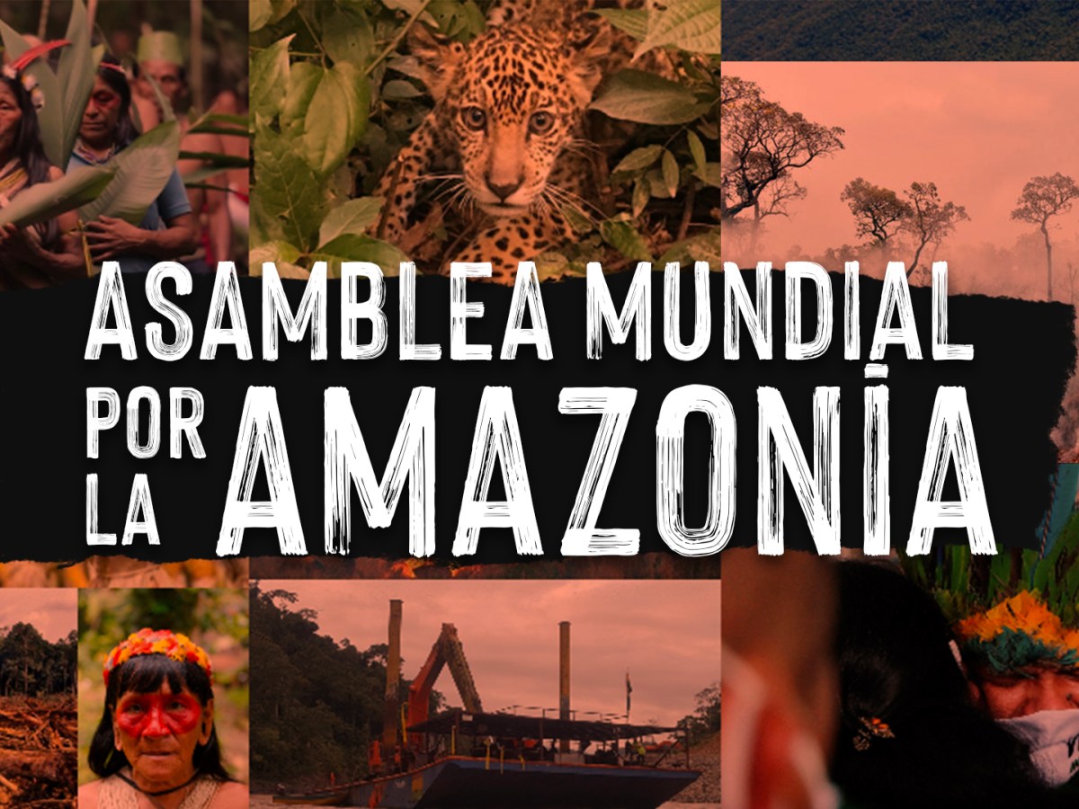 Video: Primera Asamblea Mundial por la Amazonía&nbsp;(resumen)