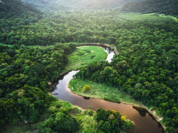 Propuesta en construcción para un tratado de la cuenca amazónica para el cuidado del ciclo del&nbsp;agua