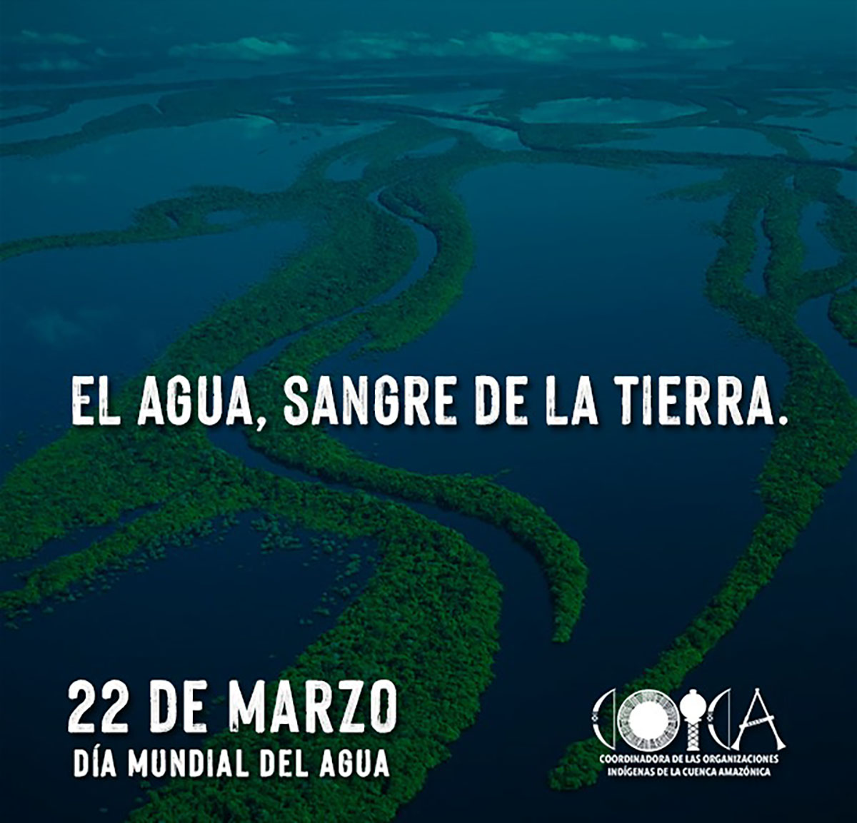 Mensaje por el día mundial del Agua – Asamblea Mundial por la Amazonía