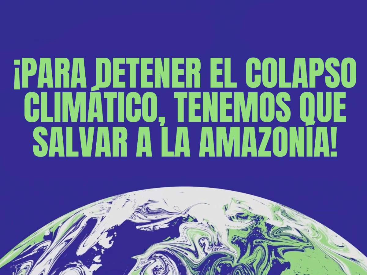 Para detener el colapso climático, debemos salvar a la&nbsp;Amazonía