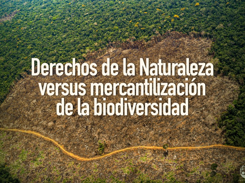 Derechos de la Naturaleza versus mercantilización de la&nbsp;biodiversidad