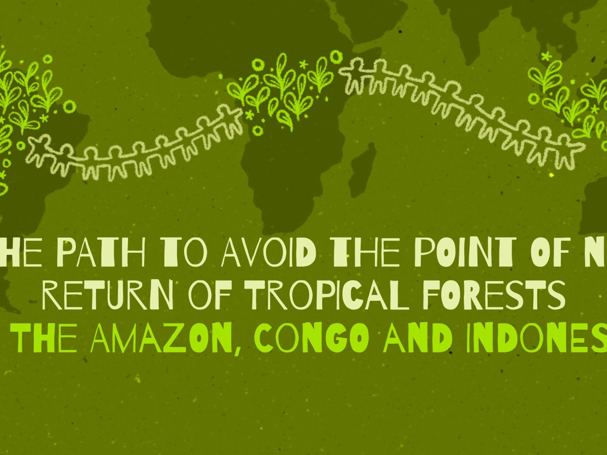 The path to avoid the point of no return of tropical forests in the Amazon, Congo and Indonesia 