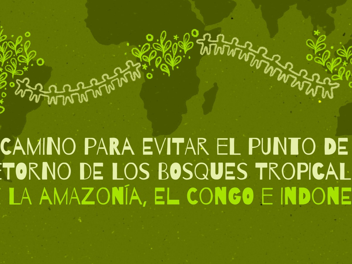 El camino para evitar el punto de no retorno de los bosques tropicales de la Amazonía, el Congo e&nbsp;Indonesia