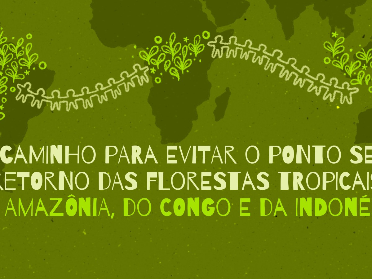 O caminho para evitar o ponto sem retorno das florestas tropicaisda Amazônia, do Congo e da&nbsp;Indonésia