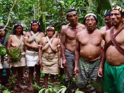 Fallo histórico: CIDH ordena a Ecuador reforzar la protección de la Zona Intangible del&nbsp;Yasuní