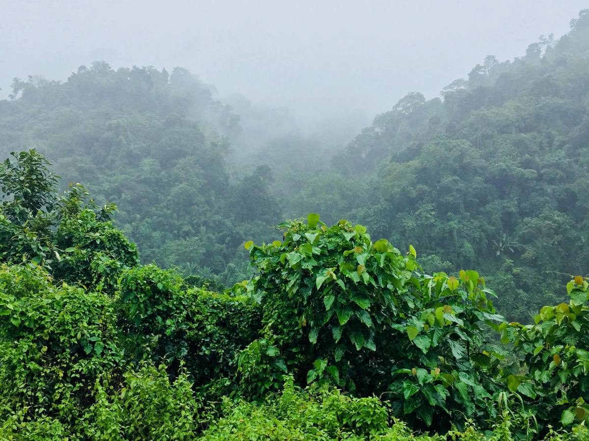 Convocatoria a Conferencia por Territorios Libres de&nbsp;Fósiles